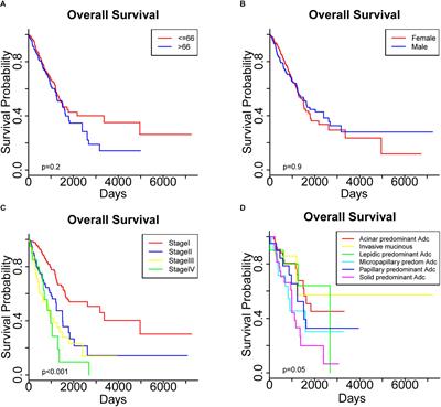 Genome-Wide Analysis of Lung Adenocarcinoma Identifies Novel Prognostic Factors and a Prognostic Score